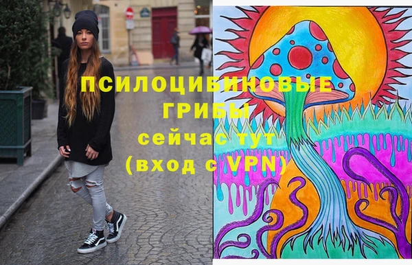 стаф Алексин