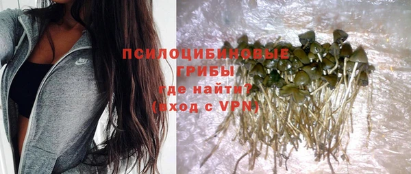 ПСИЛОЦИБИНОВЫЕ ГРИБЫ Магадан