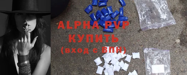 стаф Алексин