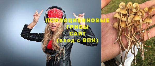 стаф Алексин